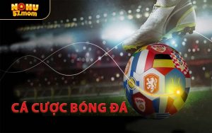 Cá Cược Bóng Đá