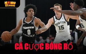 Cá Cược Bóng Rổ